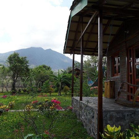 Finca Montania Sagrada Mérida Habitación foto