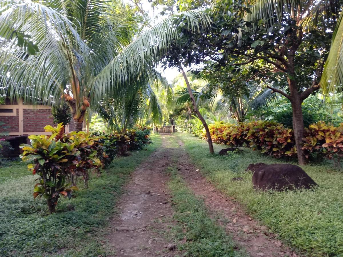Finca Montania Sagrada Mérida Exterior foto