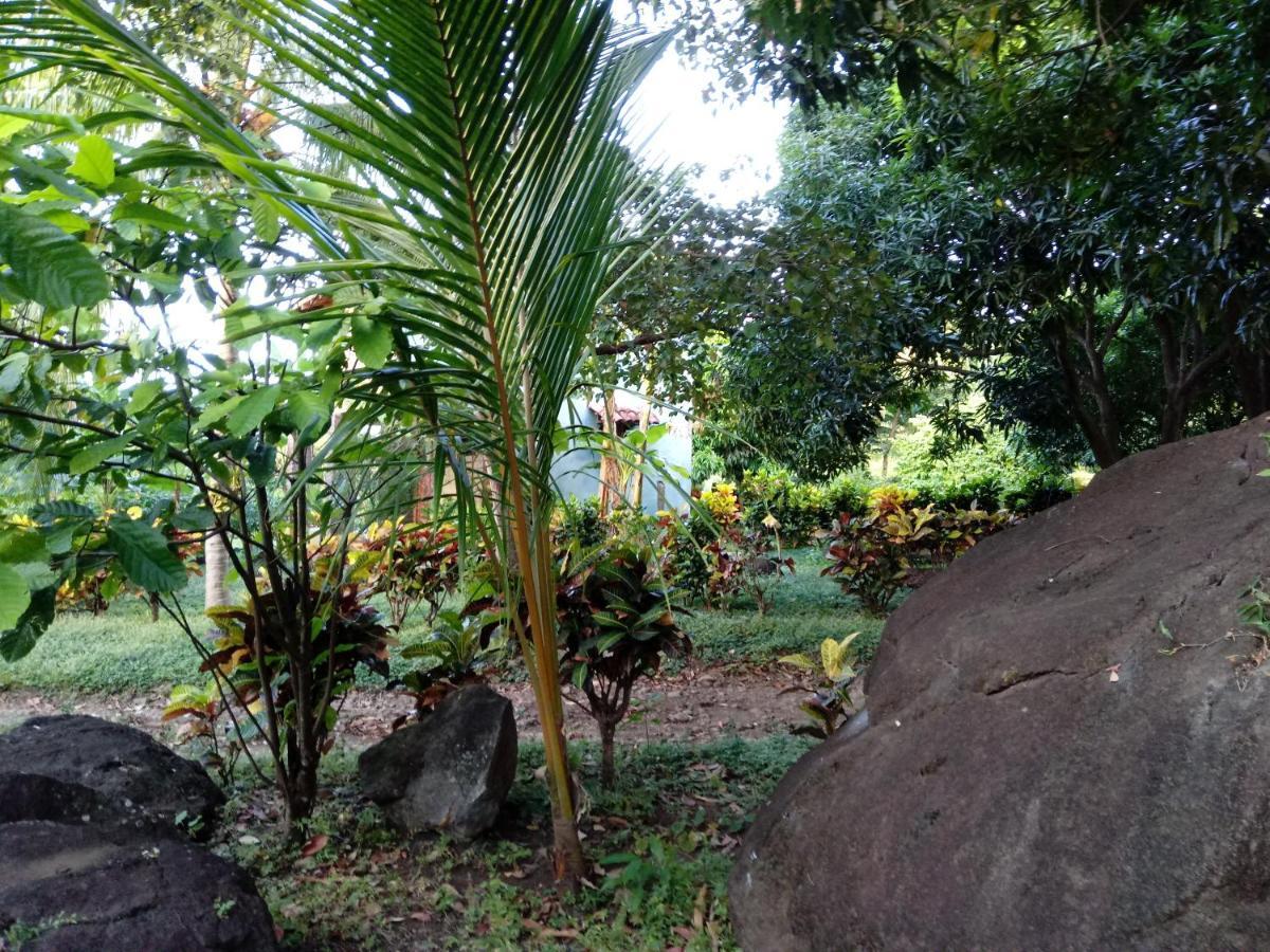 Finca Montania Sagrada Mérida Exterior foto